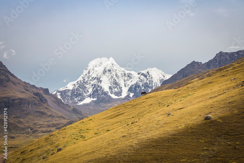 Trek al Ausangate, Cusco - Peru