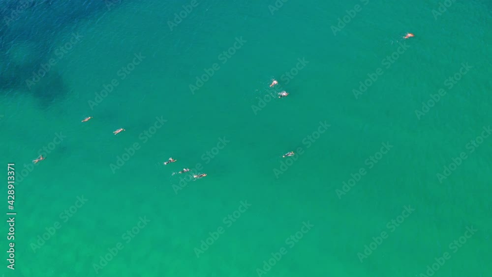 People Swimming In Calm Blue Sea. Bondi Beach In Sydney, New South Wales. aerial drone People Swimming In Calm Blue Sea. Bondi Beach In Sydney, New South Wales. aerial drone