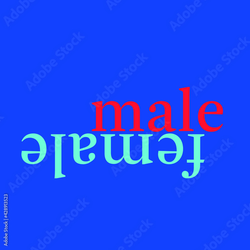 text opposite words: male / female, lowercase and editable vector