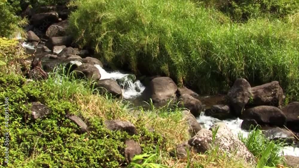 Mountain Stream Flows Down Among Stones, Iao Valley State Park,West Maui Mountains Mountain Stream Flows Down Among Stones, Iao Valley State Park,West Maui Mountains
