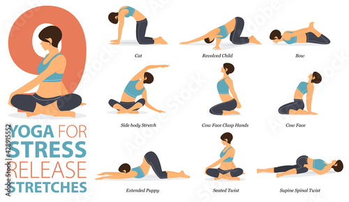 9 Yoga poses or asana posture for workout in Stress Release Stretches concept. Women exercising for body stretching. Fitness infographic. Flat cartoon vector