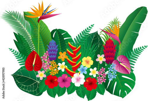 南国の花と葉のベクターイラスト