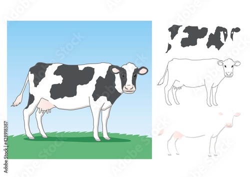 パーツ分けした牛のイラスト