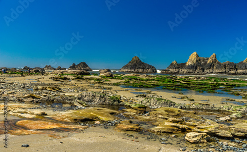 Seal Rock State Recreation Park Located south of Newport North West Pacific Coast, Oregon photo