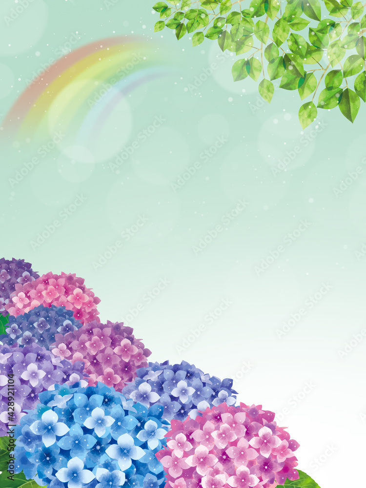 梅雨のあじさい水彩イラスト背景縦 Stock Illustration Adobe Stock