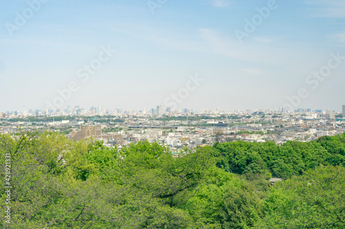 panorama of the city