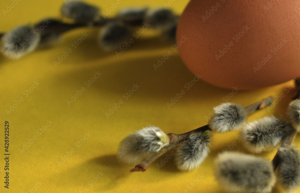 A dark chicken egg with sprigs of a budding willow on a yellow background