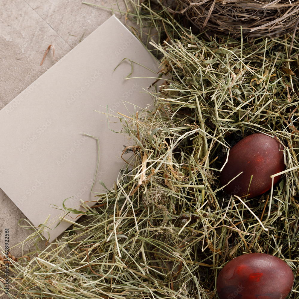Still life many colorful easter eggs on a textural background. Rustic. Decoration from natural herbs. Easter celebration concept. Still life many colorful easter eggs on a textural background. Rustic. Decoration from natural herbs. Easter celebration concept.