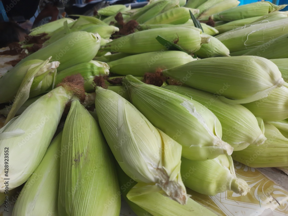 piles of corn that are still wrapped in skins, corn that is ready to be sold with different price variants piles of corn that are still wrapped in skins, corn that is ready to be sold with different price variants