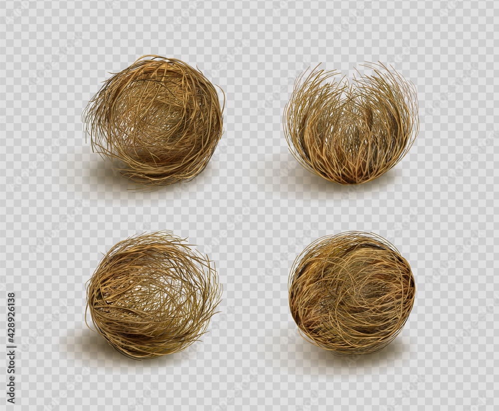 Tumbleweed, dry weed ball isolated on transparent background. Vector  realistic set of western desert dead plants, rolling dry bushes, old tumble  grass in prairie Stock Vector | Adobe Stock