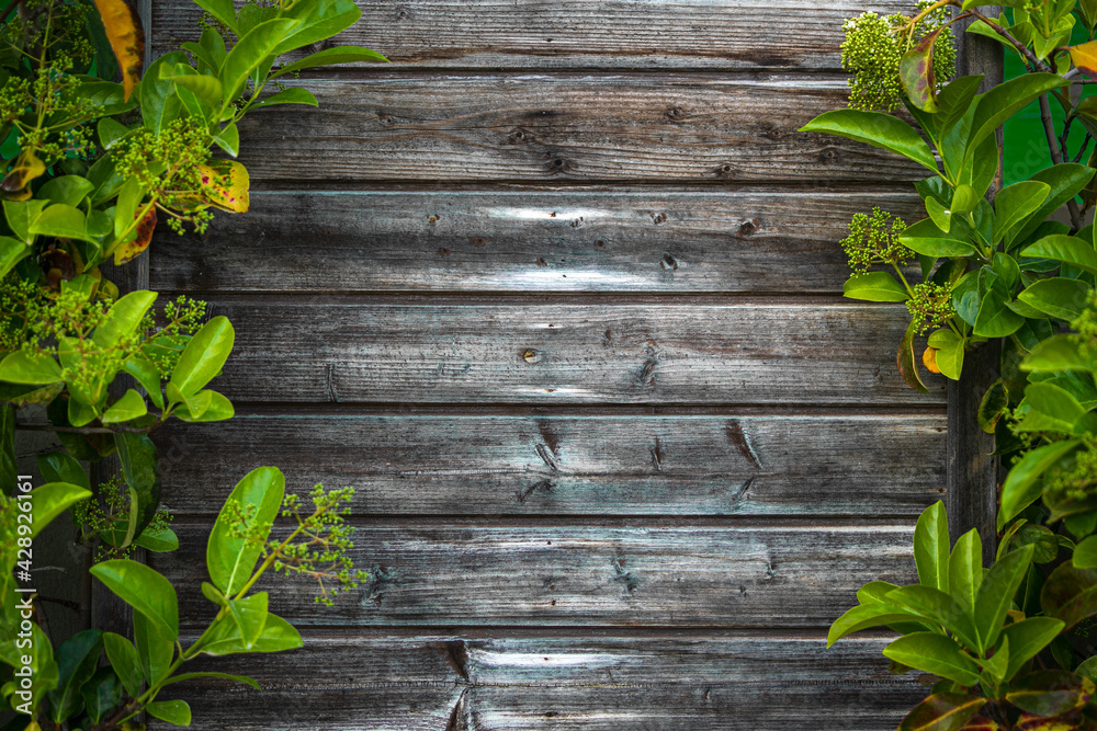 A wooden wall made of lining with bright light green leaves along the contour. Mockup for design with tropical leaves A wooden wall made of lining with bright light green leaves along the contour. Mockup for design with tropical leaves