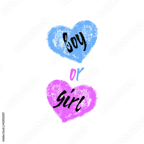 Boy or girl? Gender reveal party card, banner vector element design