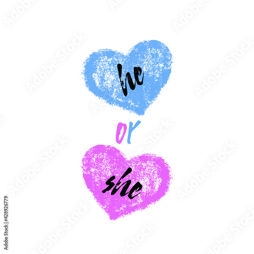 He or she? Gender reveal party card, banner vector element design