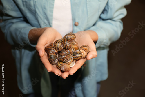 Worker at snail farm, closeup photo