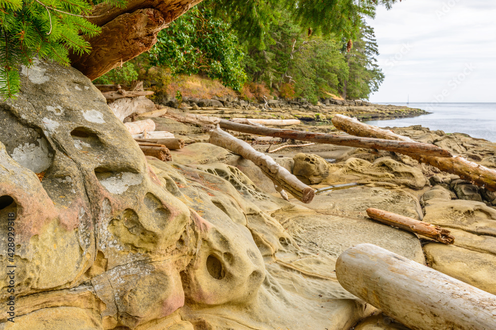 Rocky beach and ocean scenic for vacations and summer getaways. Sandwell Park Trail at Gabriola Island, BC, Canada.