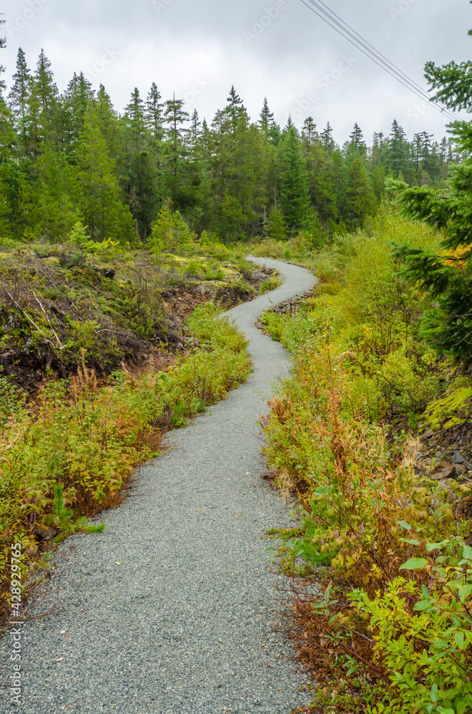 Fragment of Nita Lake Trail in Whistler, Vancouver, Canada. Fragment of Nita Lake Trail in Whistler, Vancouver, Canada.