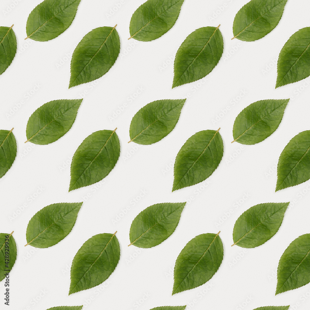 Pattern with Natural green leaves backgroun. Minimal Flat lay ecology friendly concept Pattern with Natural green leaves backgroun. Minimal Flat lay ecology friendly concept