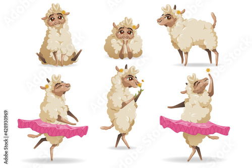 Cute sheep animal cartoon set. Little fluffy lamb mascot with cute face and flower on ear wear tutu, dance ballet, funny character enjoying life, sniff blossom, relax isolated on white background