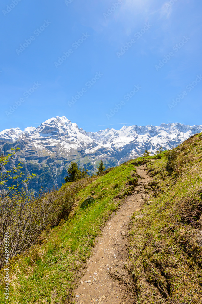 The Swiss Alps at Murren, Switzerland. Jungfrau Region. The valley of Lauterbrunnen from Interlaken.