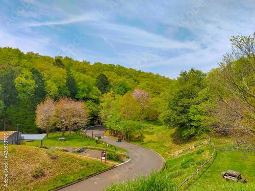 狭山丘陵の風景　六道山　春