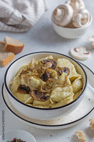 dumplings with mushrooms and onions in a ceramic plate, selective focus
