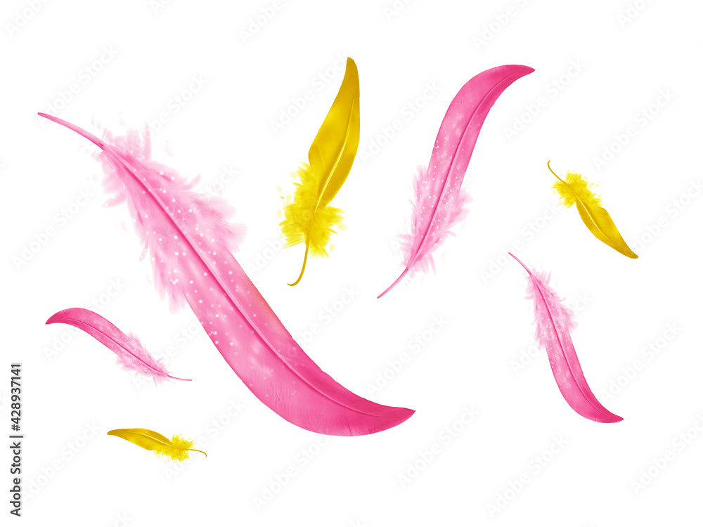Fototapeta premium Beautiful color feathers isolated on white background