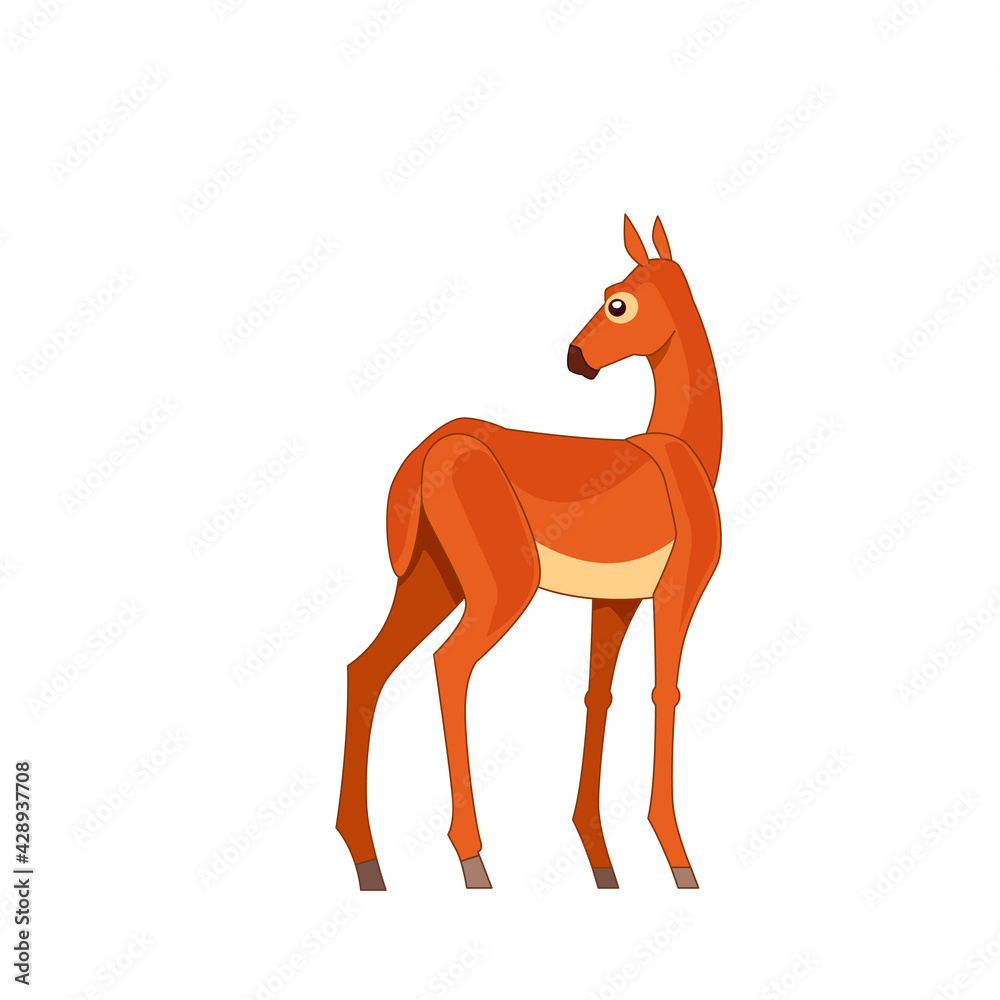 Roe deer standing in a field. Cartoon flat style drawing vector illustration isolated on a white background Roe deer standing in a field. Cartoon flat style drawing vector illustration isolated on a white background