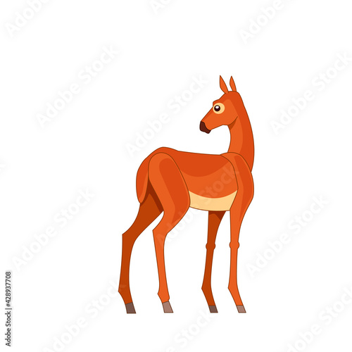 Roe deer standing in a field. Cartoon flat style drawing vector illustration isolated on a white background