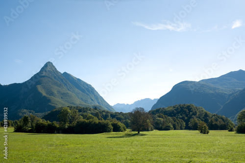 Alpine meadow in the mountains