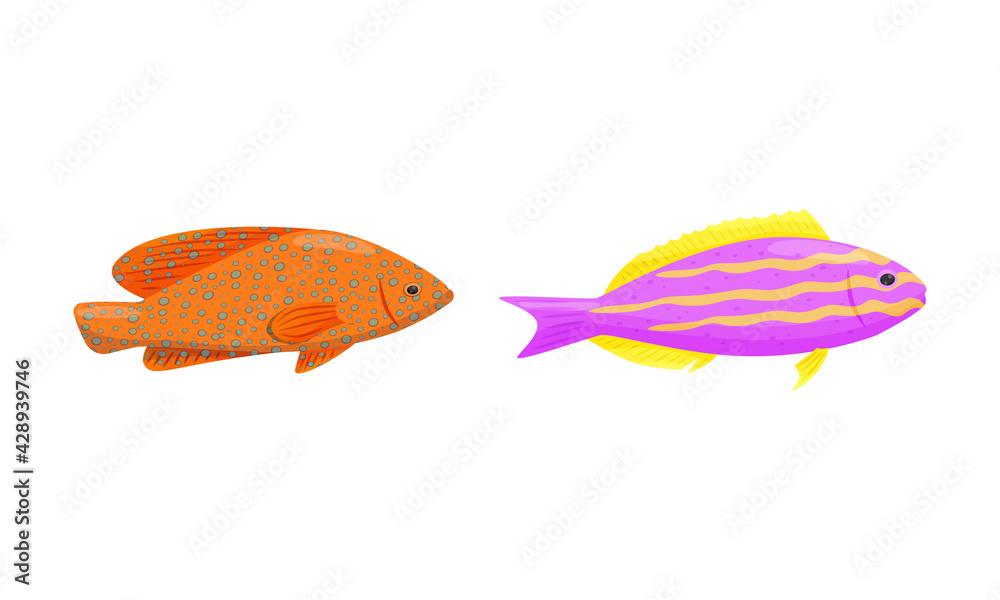 Exotic Tropical Fish of Different Shapes and Colors Vector Set Exotic Tropical Fish of Different Shapes and Colors Vector Set
