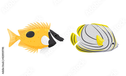 Exotic Tropical Fish of Different Shapes and Colors Vector Set