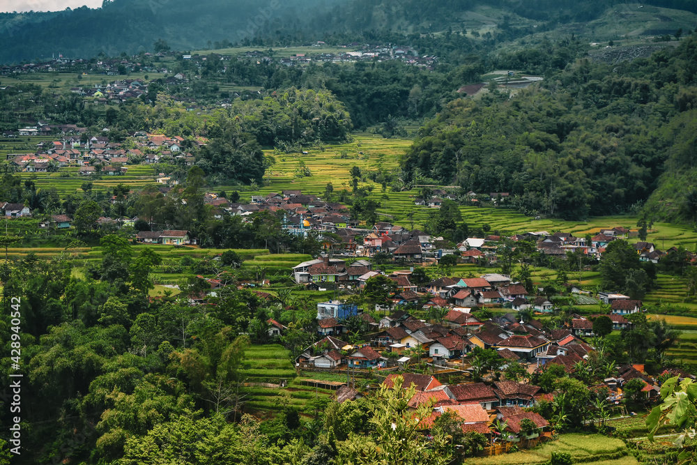 Beautiful village in the middle of rice fields. Rice fields on terraced in rainny season at Indonesia