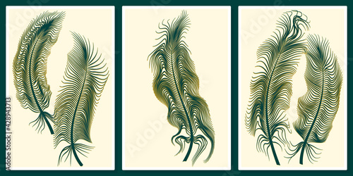 golden green feathers wall art vector set.  For wall art, poster, wallpaper, print. 