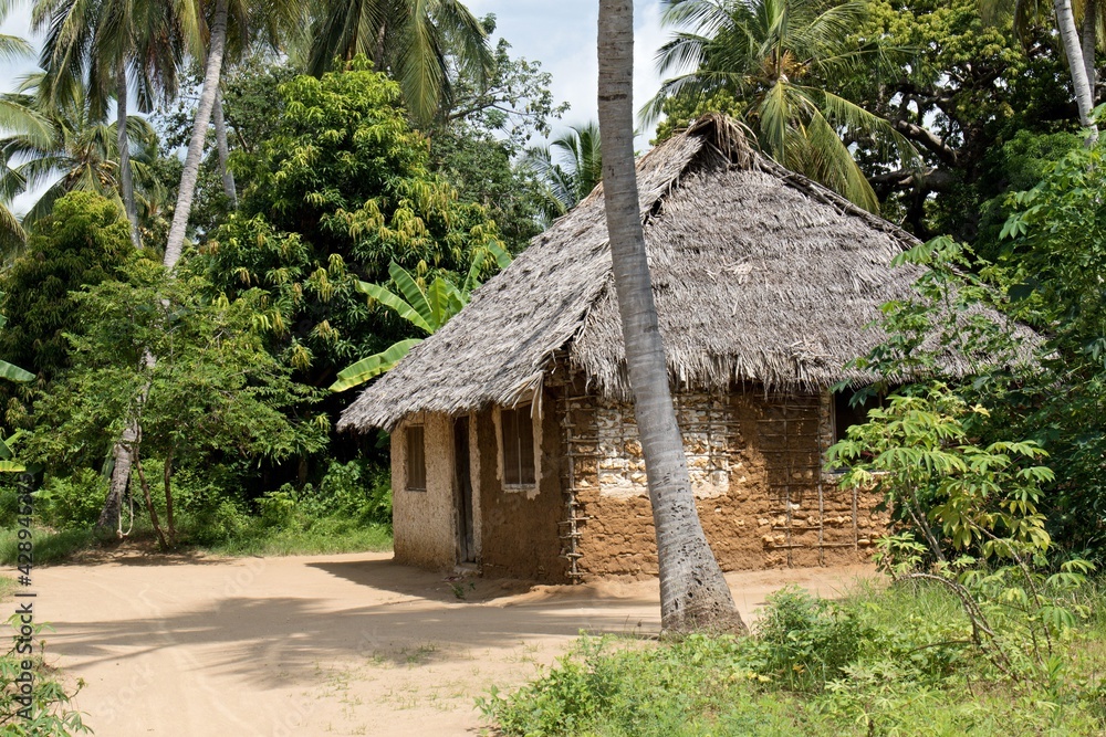 View of the dwelling. Chole island. Tanzania. Africa.