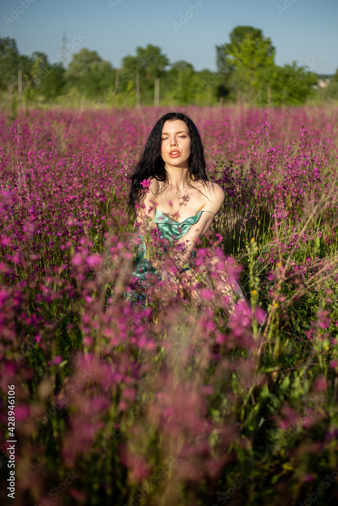 Girl in a field in a dress Girl in a field in a dress