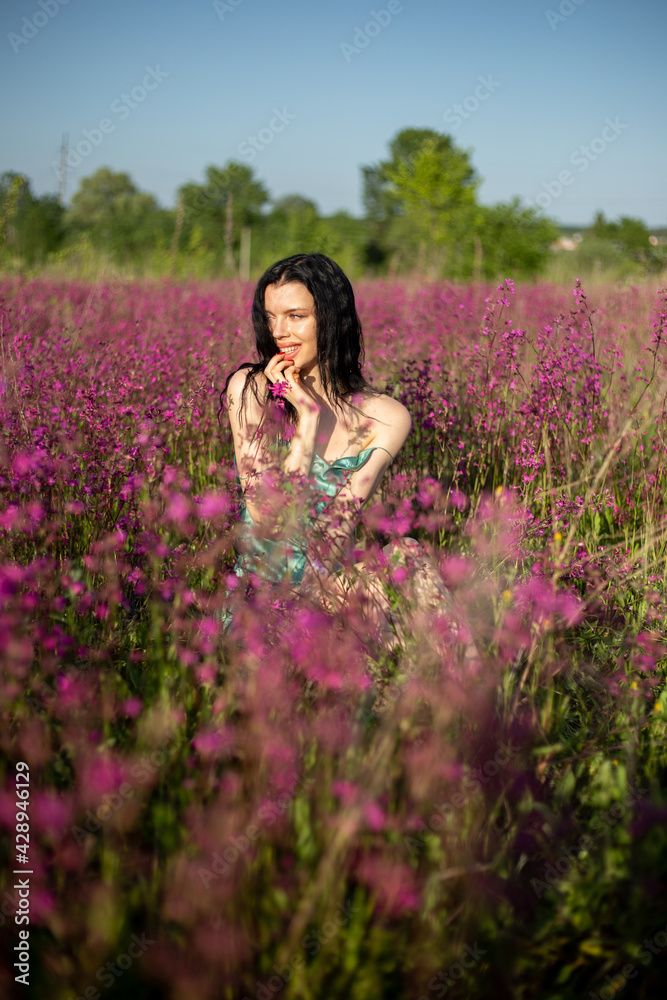 Girl in a field in a dress Girl in a field in a dress