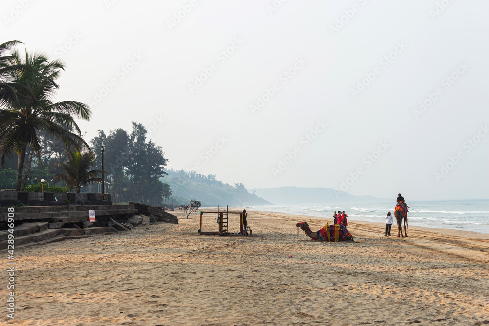 View of Ganapatipule beach with people enjoying camel rides during morning time, Ratnagiri, Maharashtra, India. View of Ganapatipule beach with people enjoying camel rides during morning time, Ratnagiri, Maharashtra, India.