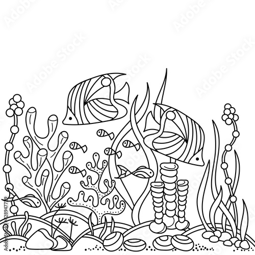 Coloring book for adults and older children. Marine vector motif . Doodles of the underwater world.
