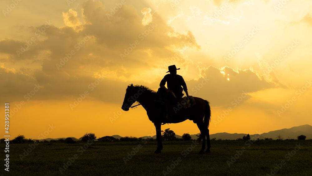 Silhouette Cowboy on horseback against a beautiful sunset, cowboy and horse at first light,mountain, river and lifestyle with natural light background..