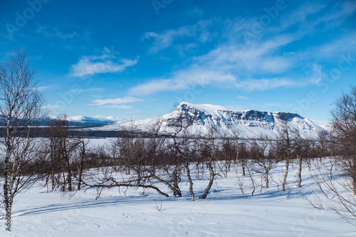 snowy winter landscape of Sarek national park in swedish lappland photo