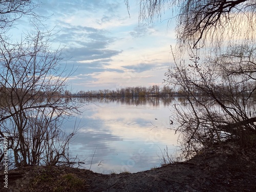 reflection of trees in the water