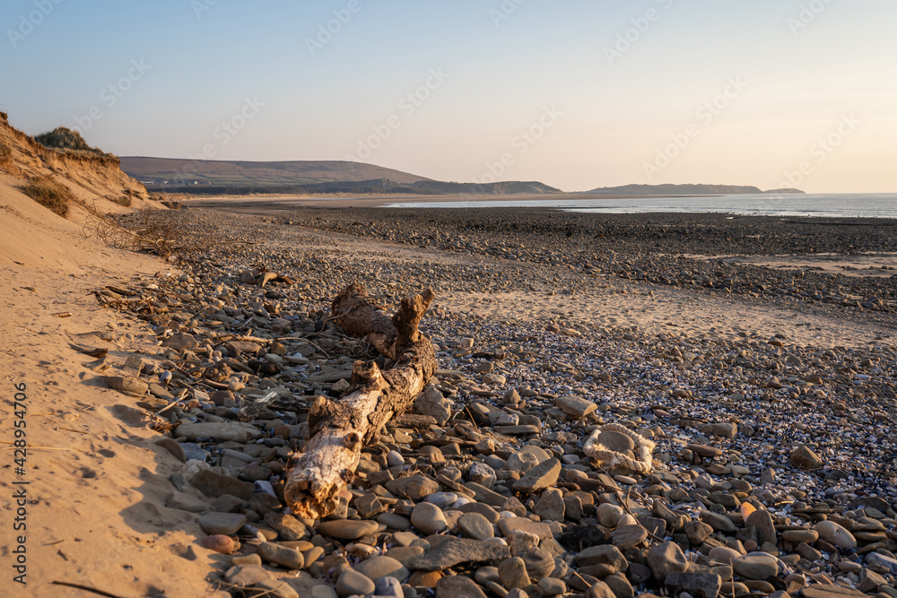 Pebbles and sea wood at Whiteford sands beach, the Gower peninsula, Swansea, South Wales, UK. Coastline backdrop at sunset