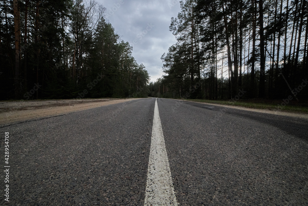 An asphalt road through the forest, a close-up shot from a lower angle in the middle of the median strip. An asphalt road through the forest, a close-up shot from a lower angle in the middle of the median strip.