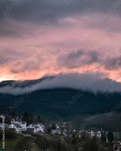 Beautiful view of the sunset in a small town in the Germany. Big mountains on the background. Fog and clouds hiding peak of the mountain. Schwarzwald nature