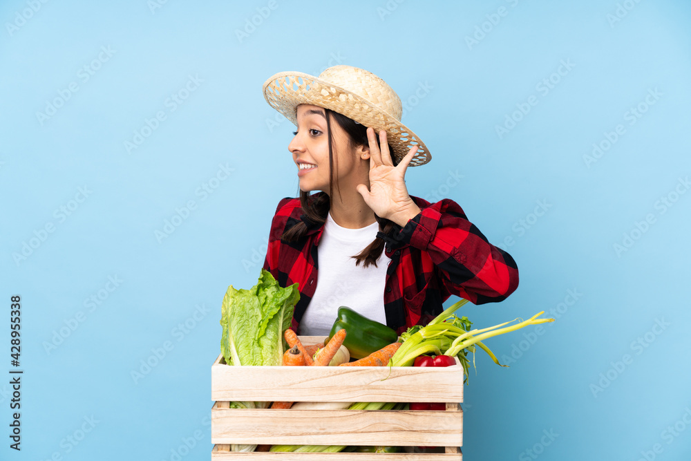 Young farmer Woman holding fresh vegetables in a wooden basket listening to something by putting hand on the ear