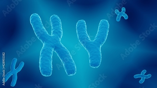 X and Y chromosomes, male 23. chromosome pair carrying the DNA, 3d illustration © Artur