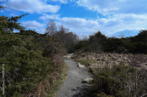 a winding path through the hillside