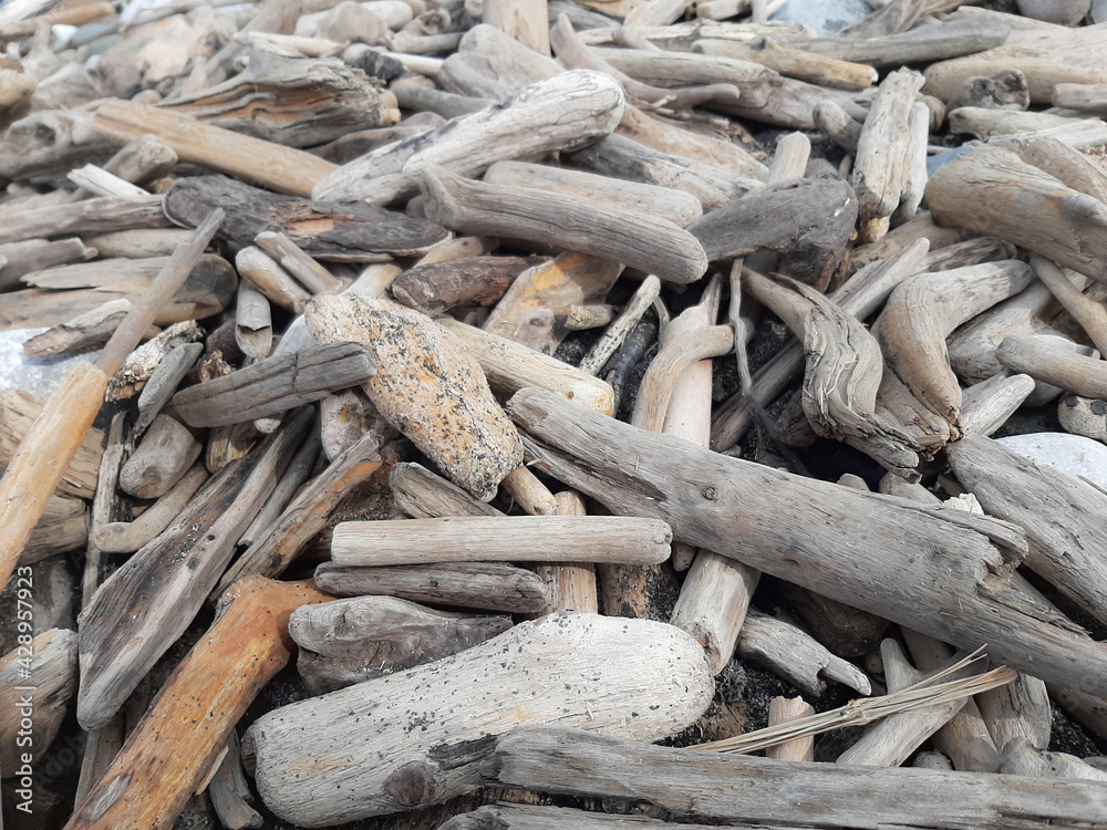 Driftwood on beach, background texture of driftwood Natural backdrop of wood on shore. Driftwood on beach, background texture of driftwood Natural backdrop of wood on shore.
