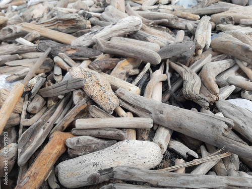 Driftwood on beach, background texture of driftwood Natural backdrop of wood on shore.