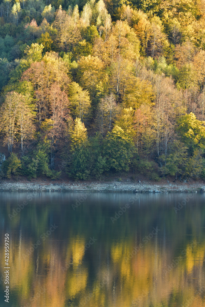 Autumn scene, forest reflection in water in autumn Autumn scene, forest reflection in water in autumn